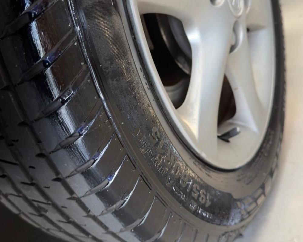 1b8faed0-373e-449f-bb70-10f7f0bef788